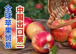 mofun苹果版下载omofun传送门ios